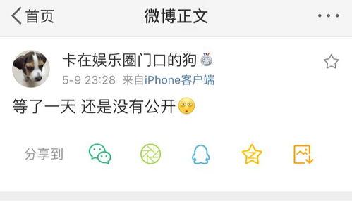 独家爆料免费吃瓜,免费吃瓜盛宴，揭秘幕后真相！