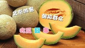 朝阳吃瓜网,揭秘娱乐圈最新热点，带你领略明星幕后故事