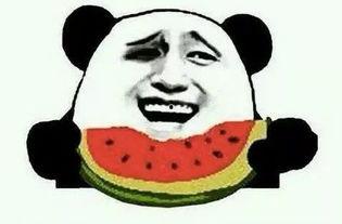 吃瓜 社会十大潜规则,揭秘吃瓜群众必知的十大社会潜规则